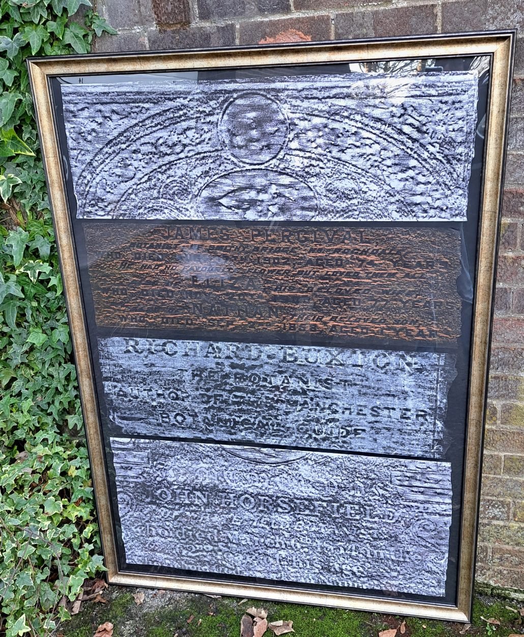 A large framed tribute to the Artisan Naturalists, made up of mounted gravestone rubbings including panels for James Percival, Richard Buxton and John Horsefield