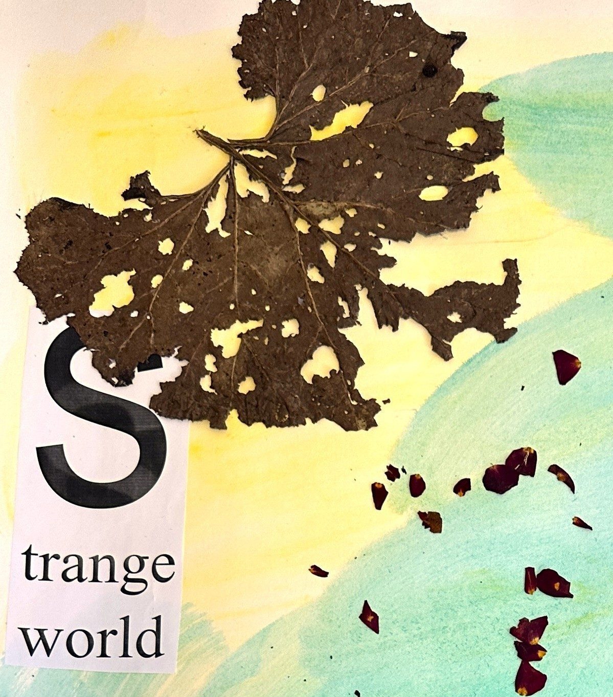 Strange World — mixed media artwork with a pressed leaf and rose petals on watercolour ground