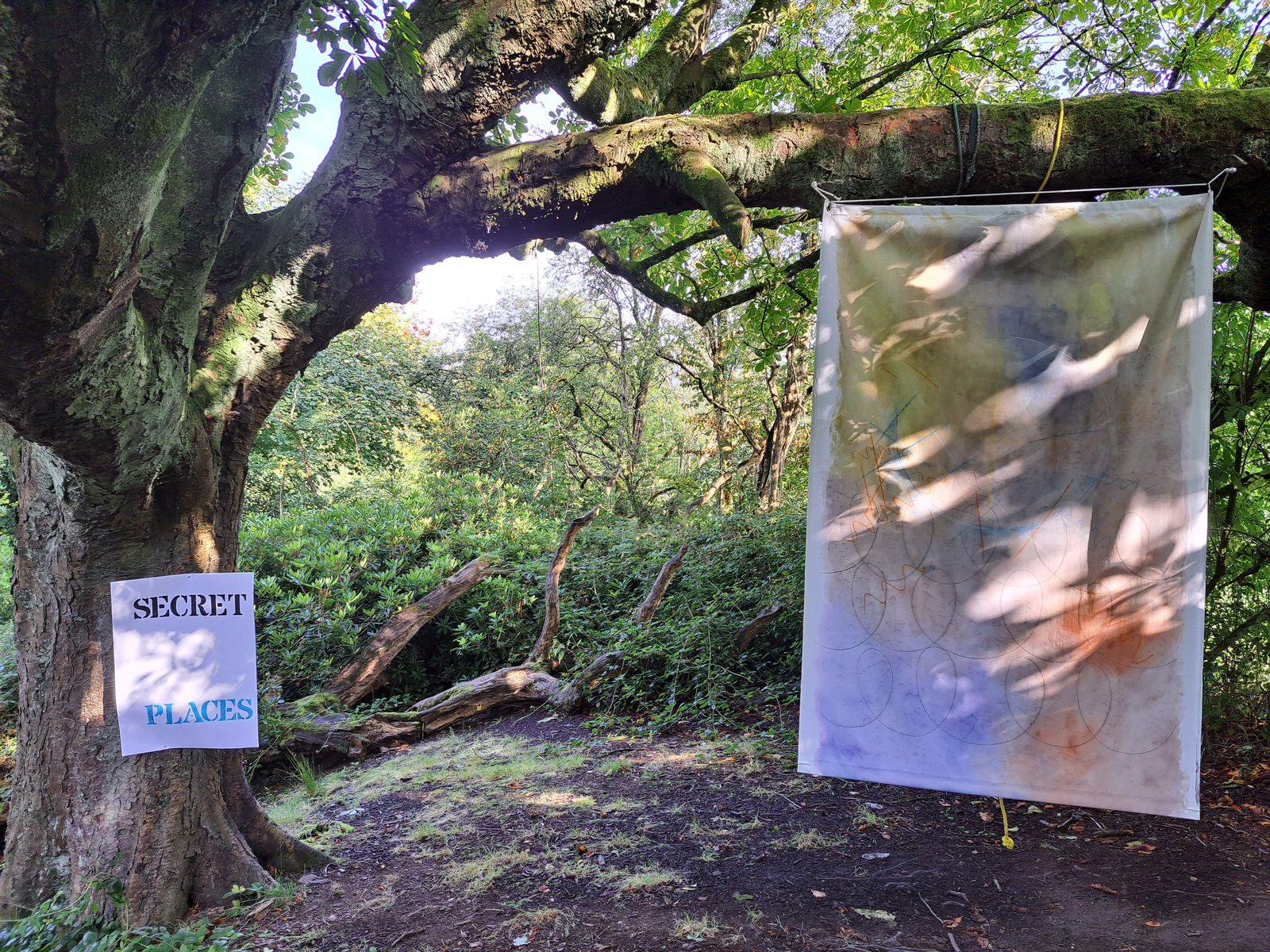 Secret Places — a hand-dyed fabric hanging with looping circular marks, hung from a tree beside a 'Secret Places' sign
