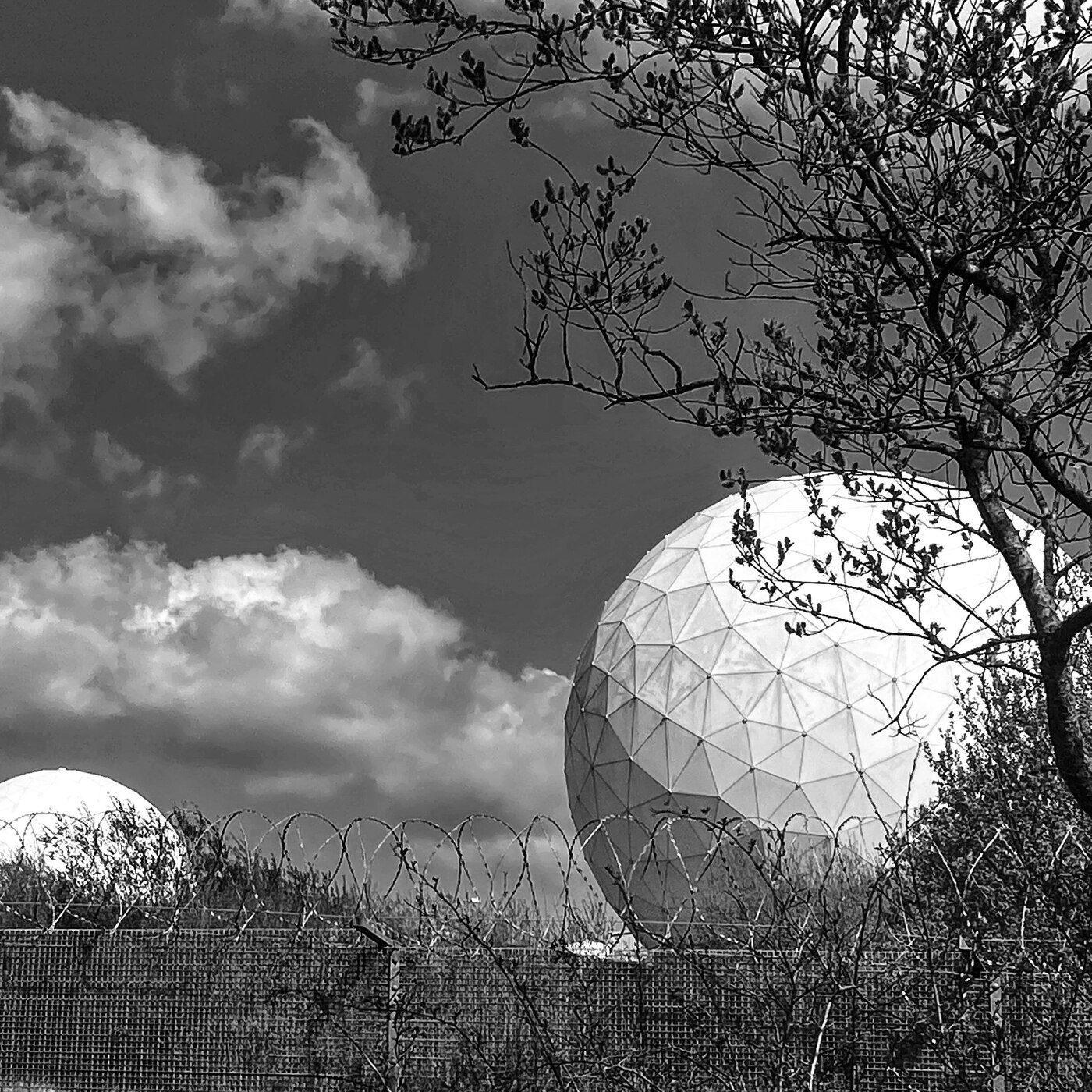 Black and white photograph of a geodesic radar dome behind a tree and barbed wire